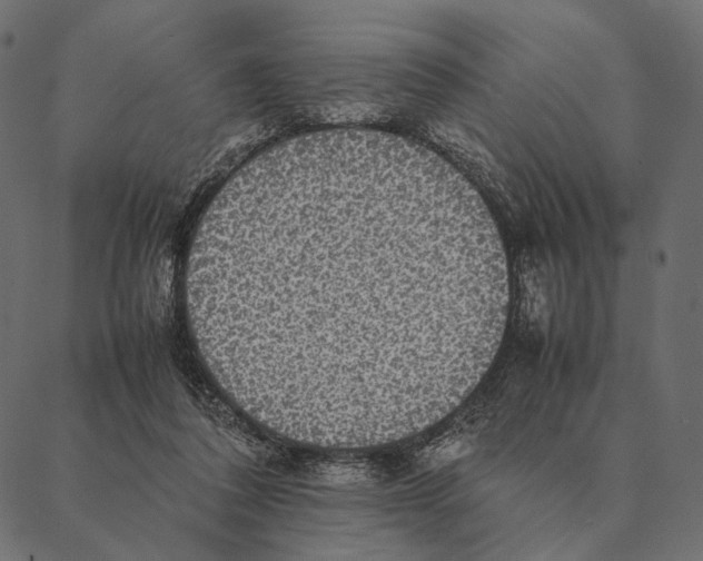 X0000087330308200705181043
