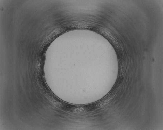 X0000087330309200705181043