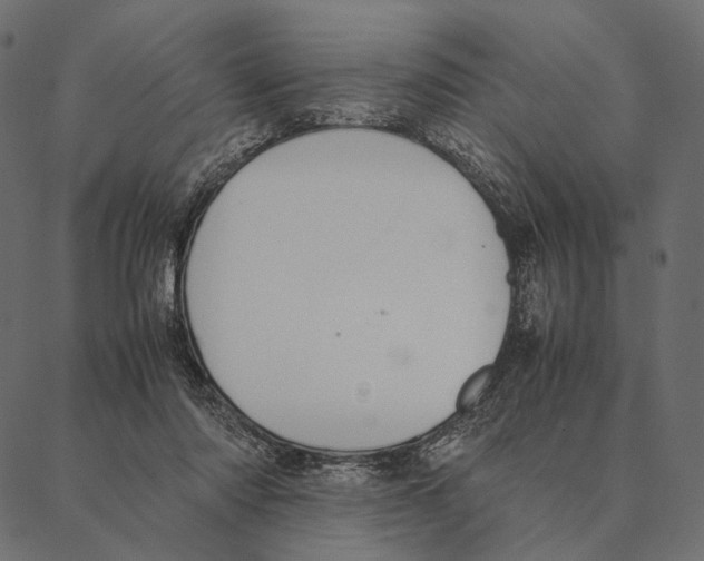 X0000087330310200705181043