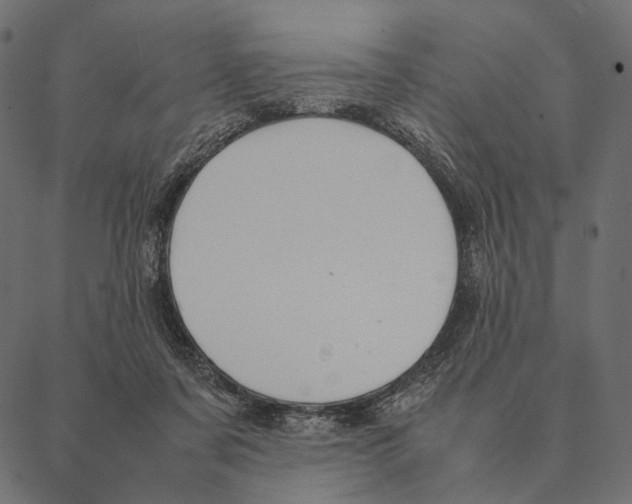 X0000087330311200705181043