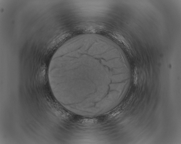 X0000087330314200705181043