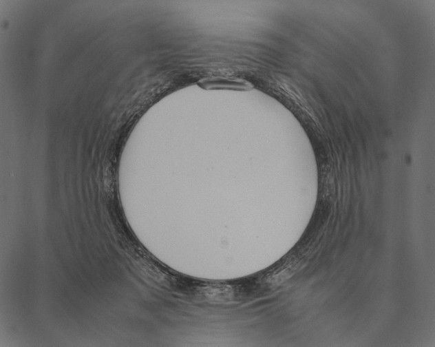 X0000087330317200705181043