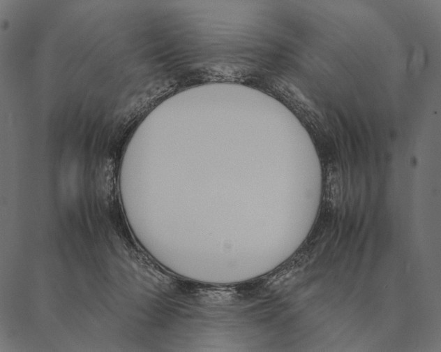 X0000087330318200705181043