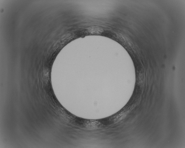 X0000087330321200705181042
