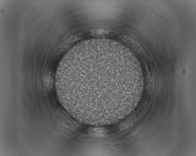 X0000087330324200705181042