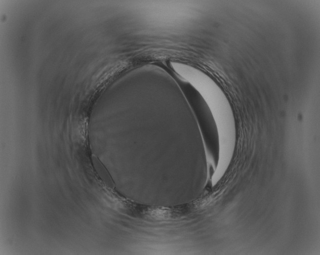 X0000087330325200705181042