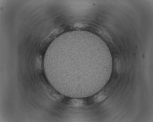 X0000087330328200705181042