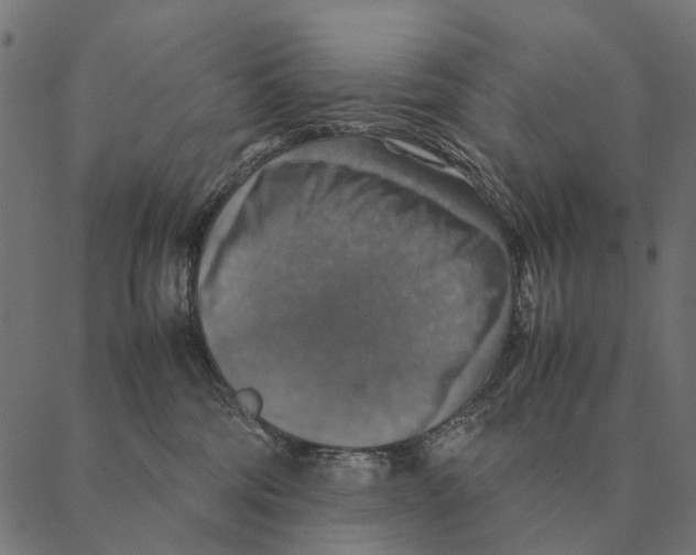 X0000087330330200705181042