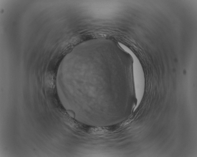 X0000087330331200705181042