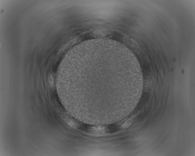 X0000087330335200705181042