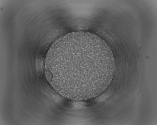 X0000087330336200705181042