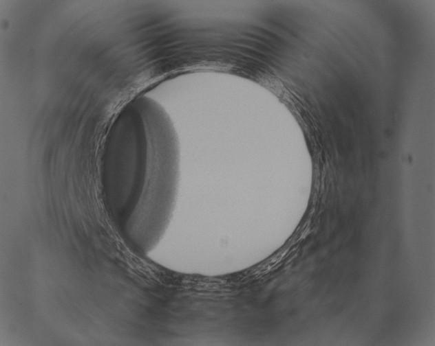 X0000087330337200705181041