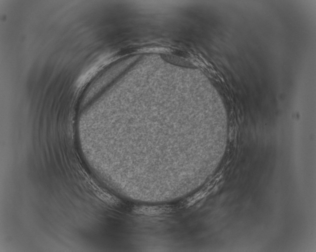 X0000087330341200705181042