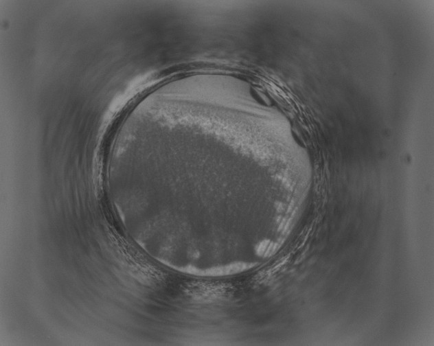 X0000087330343200705181042