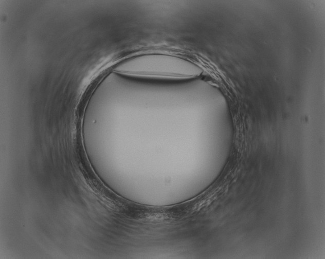 X0000087330344200705181042