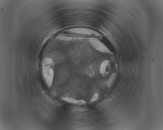 X0000087330347200705181042