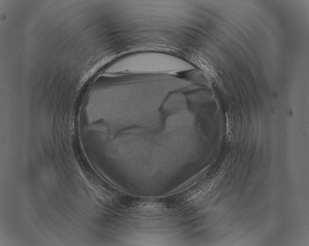 X0000087330348200705181042