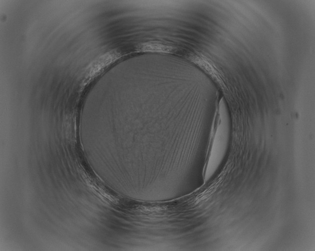 X0000087330349200705181042