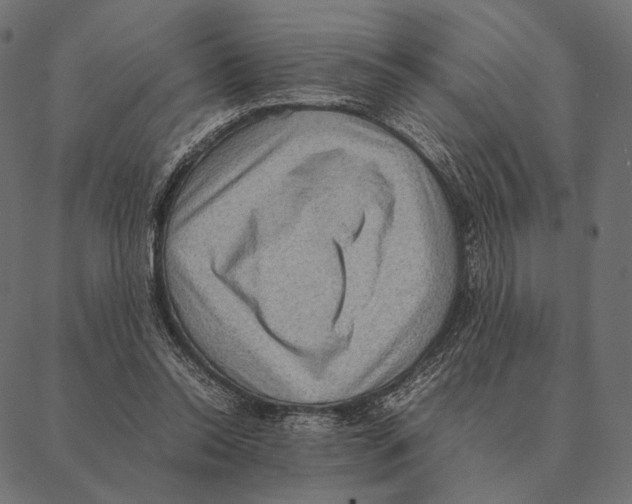X0000087330350200705181042