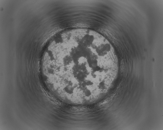X0000087330351200705181042