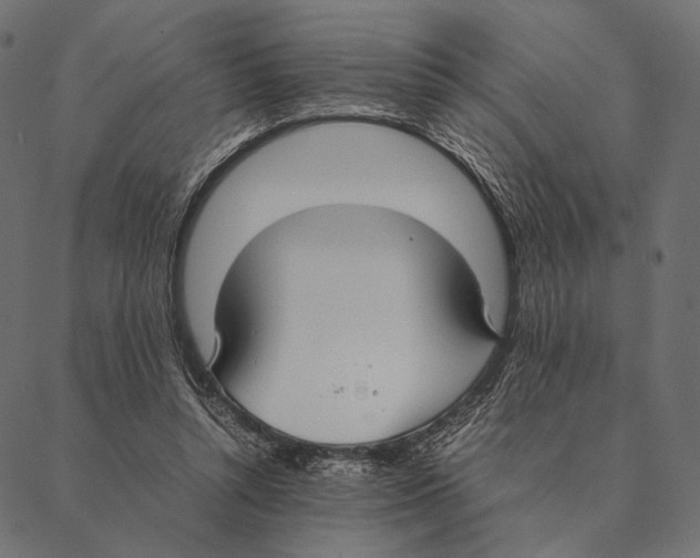 X0000087330352200705181042