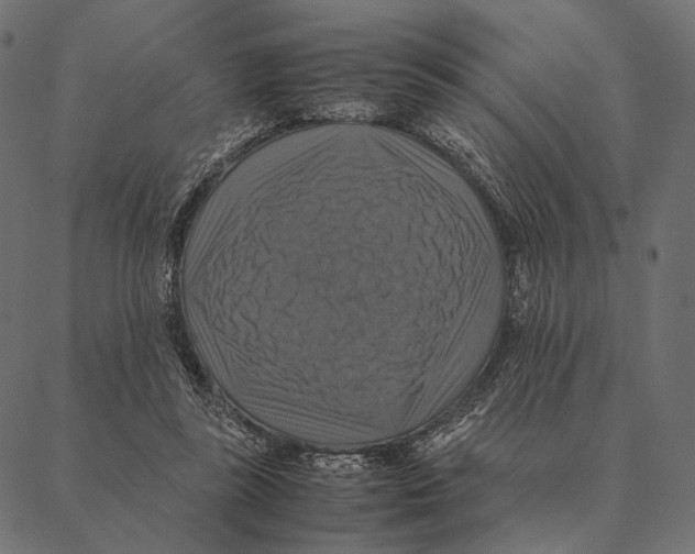 X0000087330355200705181042