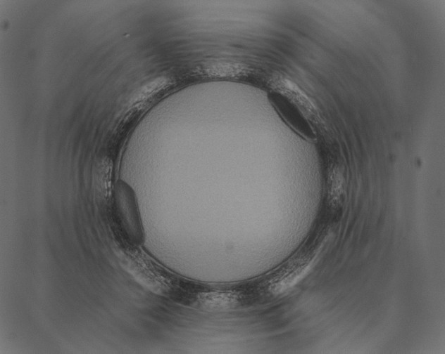 X0000087330356200705181042