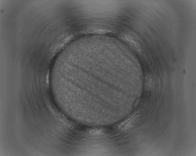 X0000087330358200705181042