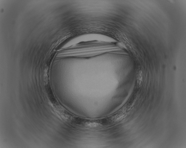 X0000087330360200705181042
