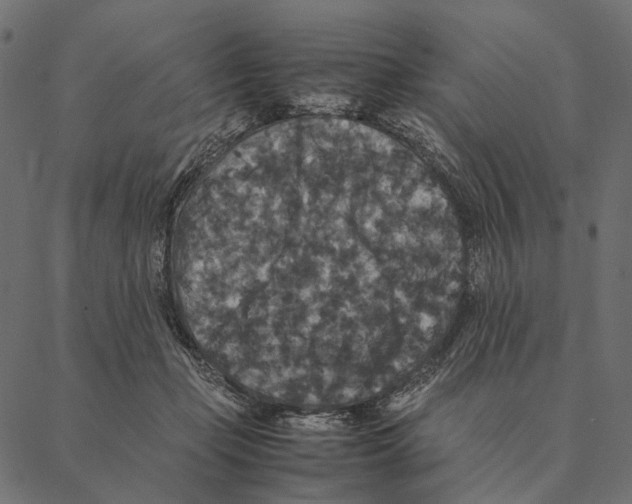 X0000087330365200705181042