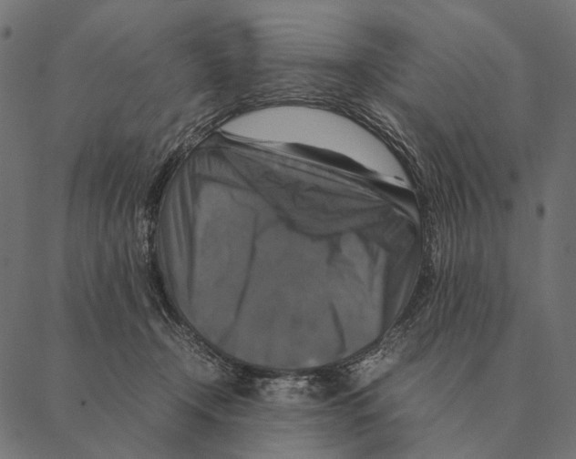 X0000087330366200705181042