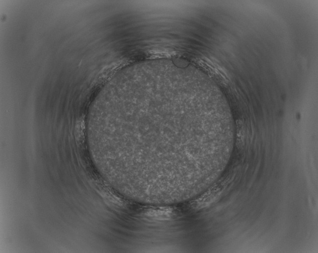 X0000087330369200705181042