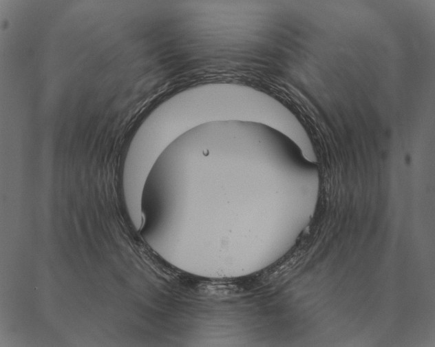 X0000087330372200705181042