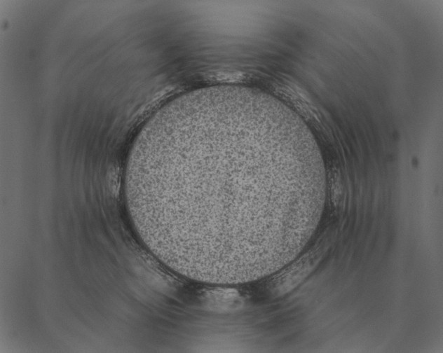 X0000087330374200705181042
