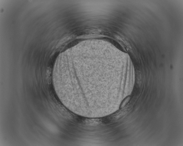 X0000087330378200705181042