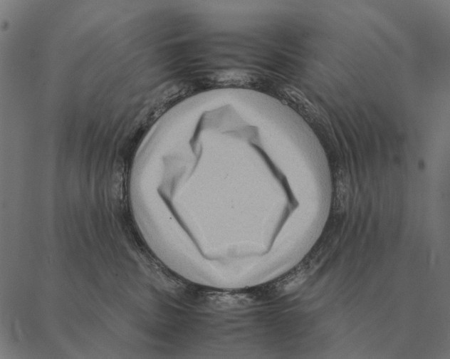 X0000087330379200705181042
