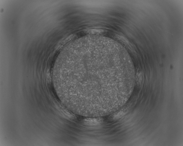 X0000087330381200705181042