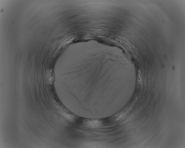 X0000087330383200705181042