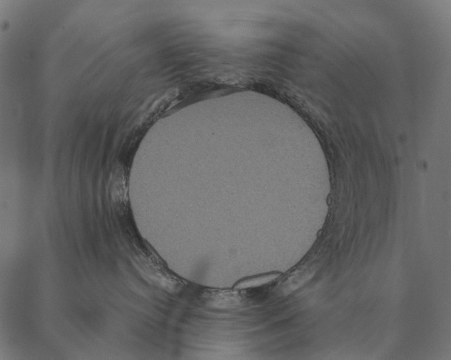 X0000087330384200705181042