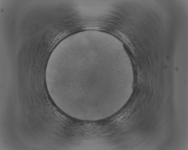 X0000087330385200705181041