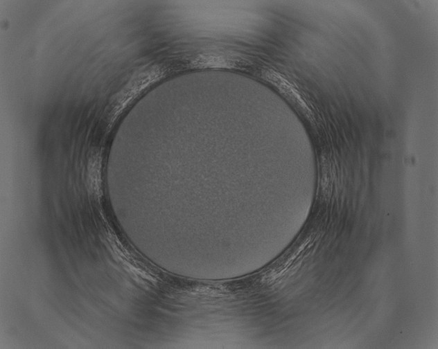 X0000087330386200705181041