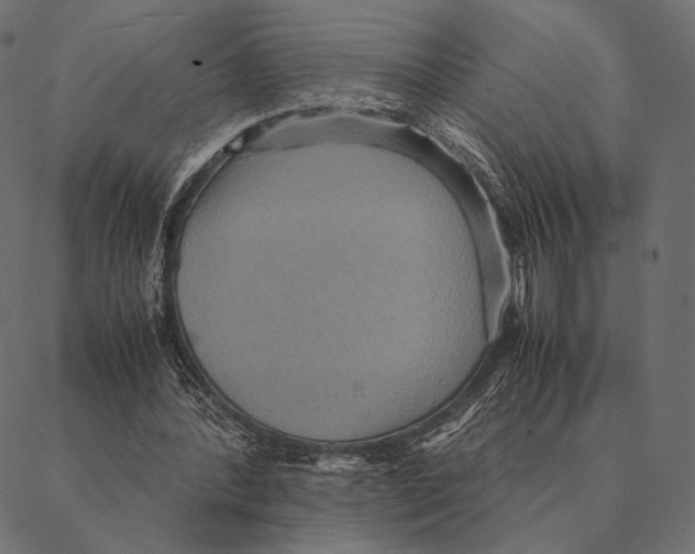X0000087330388200705181041