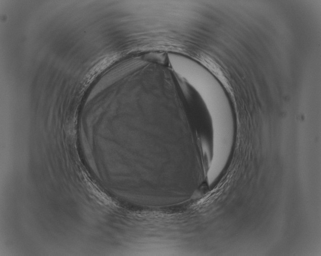 X0000087330389200705181041
