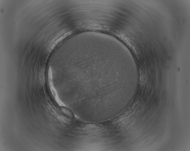 X0000087330390200705181041