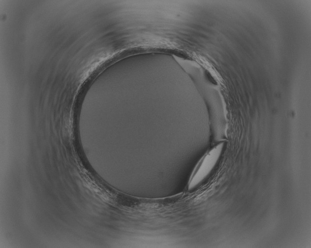 X0000087330391200705181041