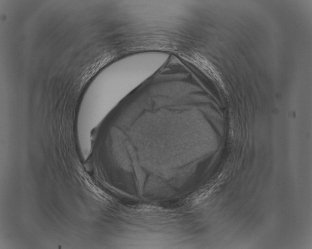X0000087330393200705181041