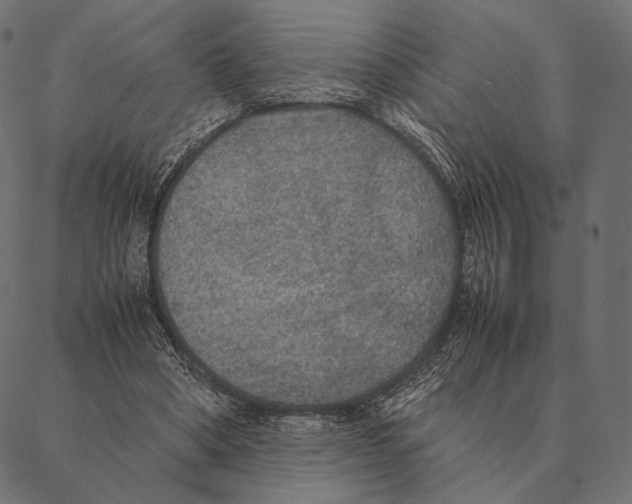 X0000087330394200705181041