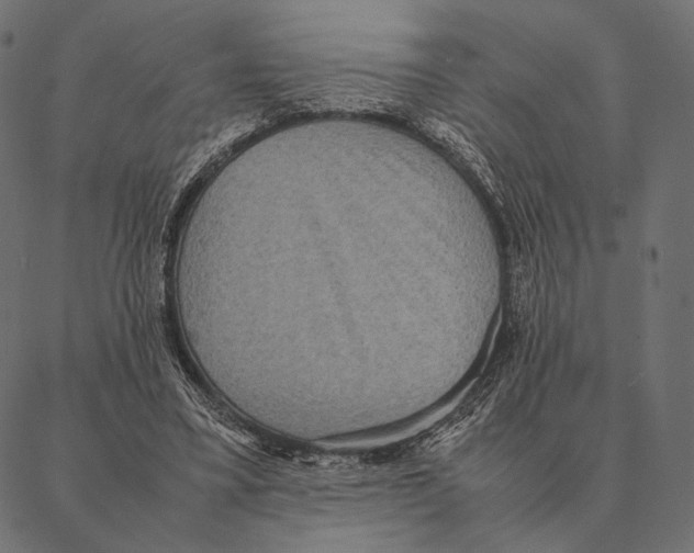 X0000087330395200705181041