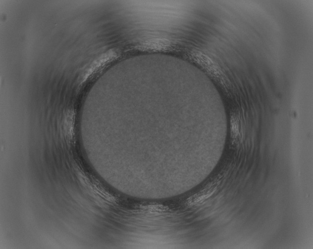 X0000087330396200705181041