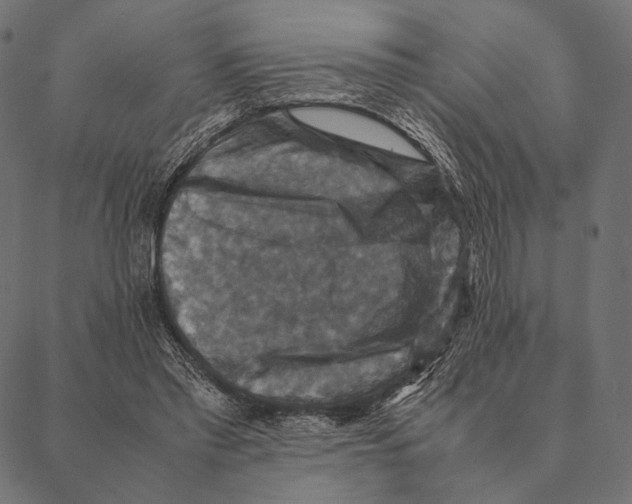 X0000087330397200705181041